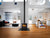 Vermont Castings Dauntless Flexburn Wood Stove- Classic Black